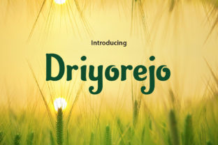 Discovering Driyorejo: A Script Amp Font Review