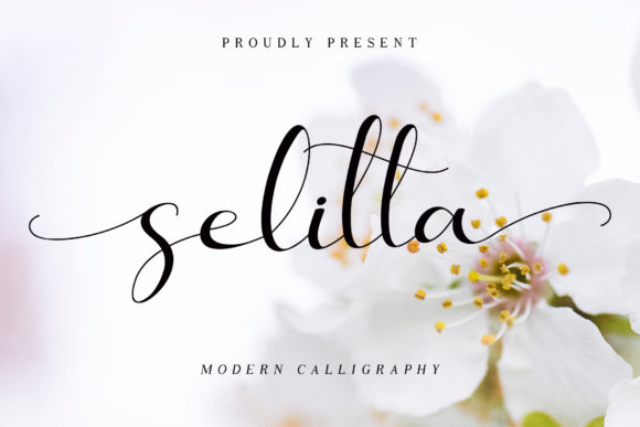 Enhance Your Editorial Design with Selitta Font