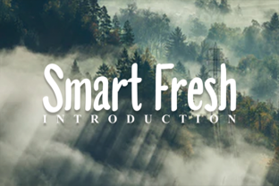 Smart Fresh: The Font That Elevates Your Campaigns